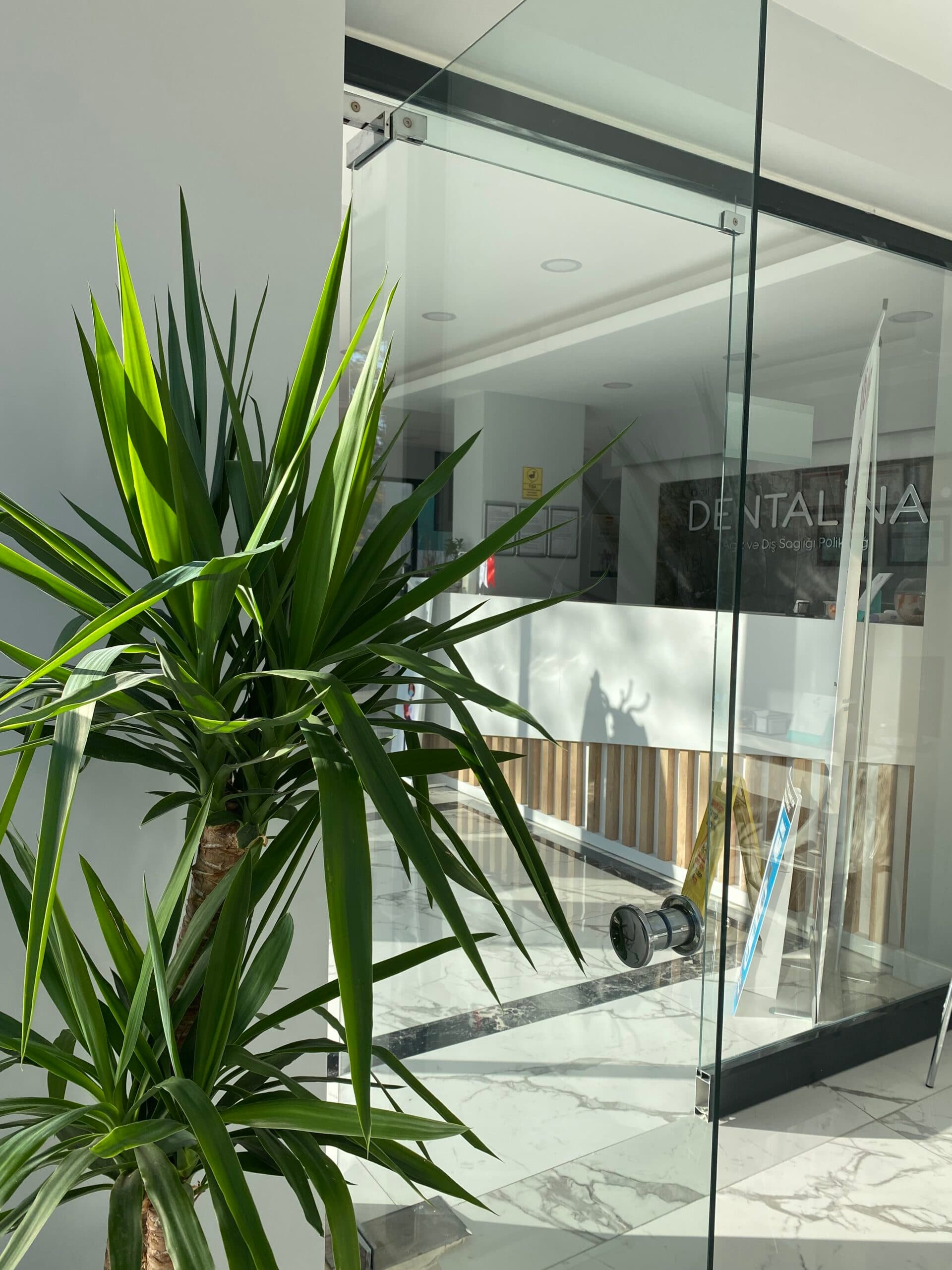 Dentalina Ağız ve Diş Sağlığı Polikliniği – Antalya — 5